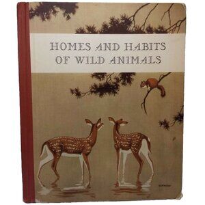 1934 Homes and Habits of Wild Animals Walter Weber Illustrations Children's Book